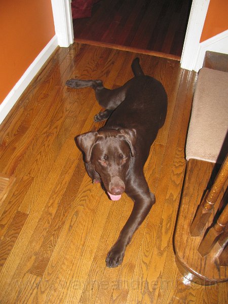 2009_10_01 Hemi_0795.JPG